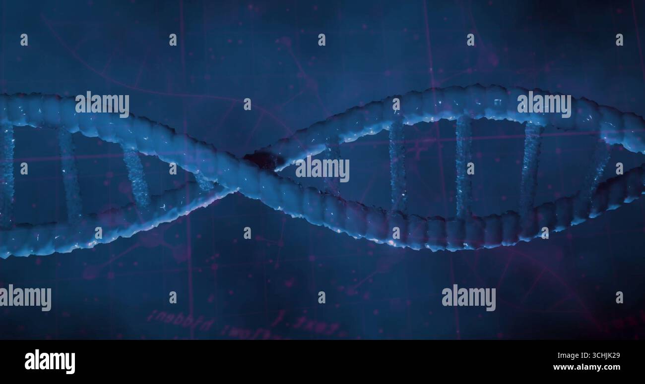 Schwimmendes 3D-DNA-Helix-Modell, verdreht vor blauem Hintergrund des digitalen Rasters, mit Basispaar-Anschlüssen Stockfoto