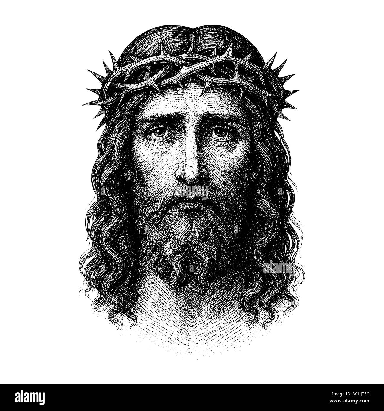 Eine fiktive Darstellung des Gesichts des Erlösers und Erlösers Jesus Christus mit einer Dornenkrone, handgezeichnet im Stile Stock Vektor