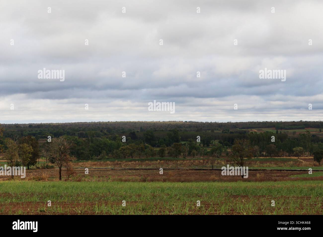 Eine friedliche ländliche Landschaft bietet grüne Felder unter einem dramatischen bewölkten Himmel mit weit entfernten Bäumen und einem weichen Horizont. Stockfoto