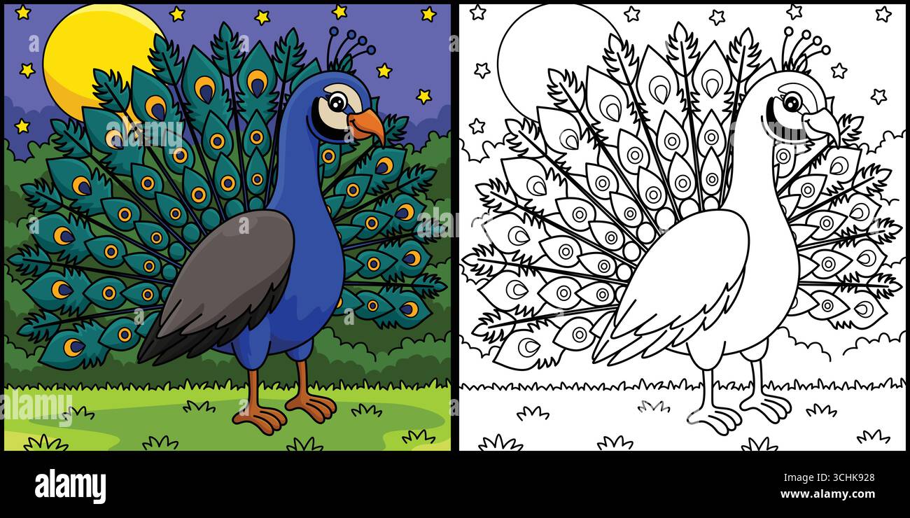 Vogel Pfau Färbung Seite Farbige Illustration Stock Vektor