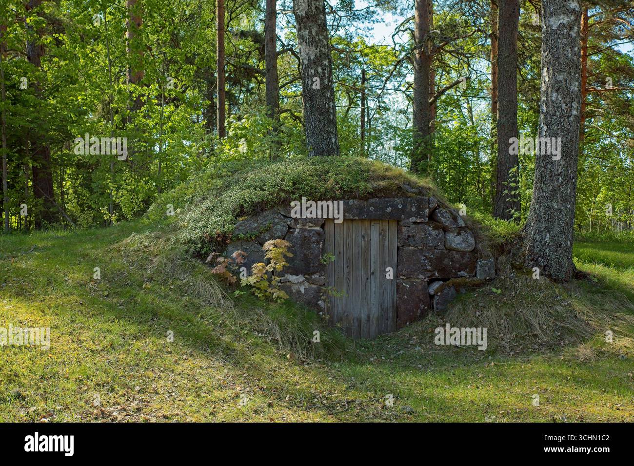 Alter unterirdischer Keller bei sonnigem Frühlingswetter. Stockfoto
