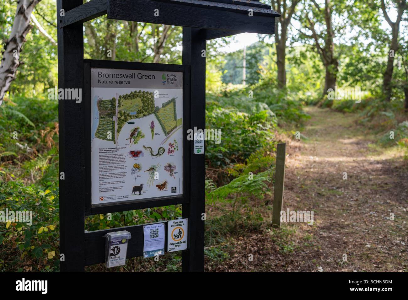 Bromeswell Green Naturschutzgebiet Suffolk Stockfoto