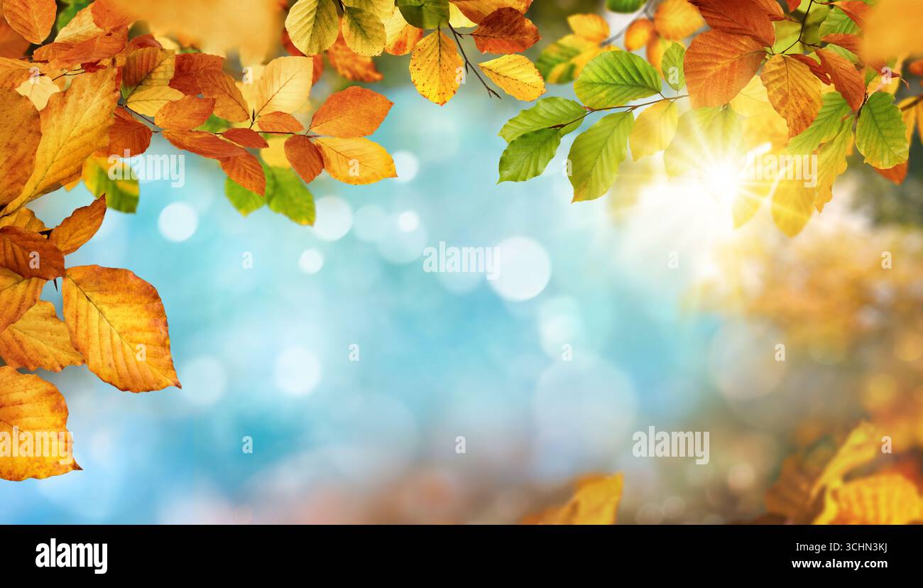 Farbenfroher Herbsthintergrund mit roten, gelben und grünen Blättern, die blaue Bokeh-Highlights als Kopierraum einrahmen. Eine wunderschöne Karte oder Kulisse für die Saison. Stockfoto Farbenfroher Herbsthintergrund mit roten, gelben und grünen Blättern, die blaue Bokeh-Highlights als Kopierraum einrahmen. Eine wunderschöne Karte oder Kulisse für die Saison. Stockfoto