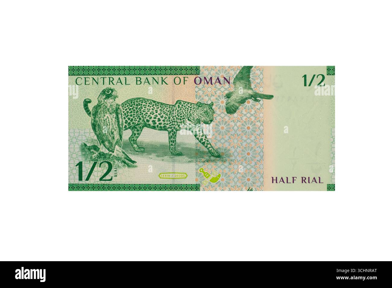 Omanische Halb-Rial-Banknote mit Porträts des Arabischen Leoparden, Falken und fliegenden Vögeln Stockfoto