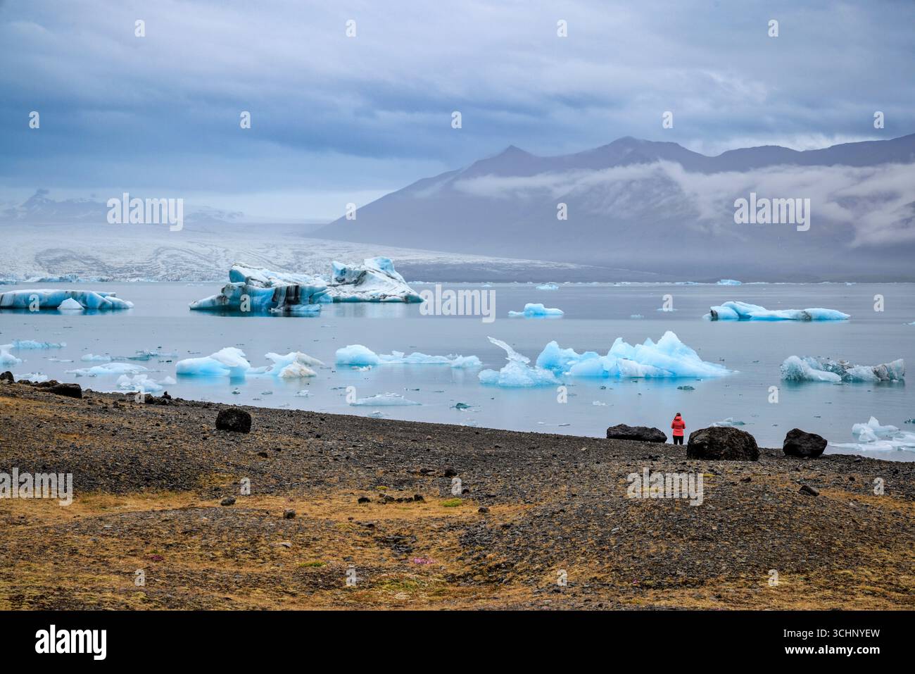 Beobachten Sie die Eisberge in der Jokulsarlon Glacier Lagoon, Süd-Island Stockfoto