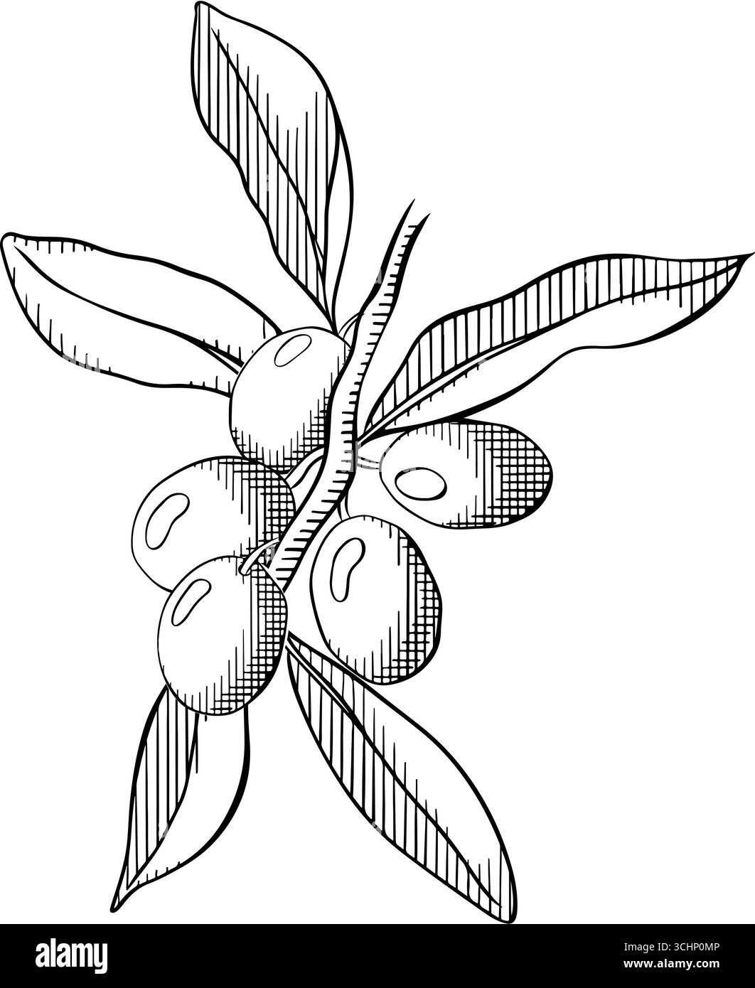 Zusammensetzung des Olivenbeerzweigs. Vektorgrafik-Linie Illustration Schwarzweiß-Tinte. Silhouettenzeichen für Logo, Druck, Comics, Mode, Pop Art, Platine Stock Vektor