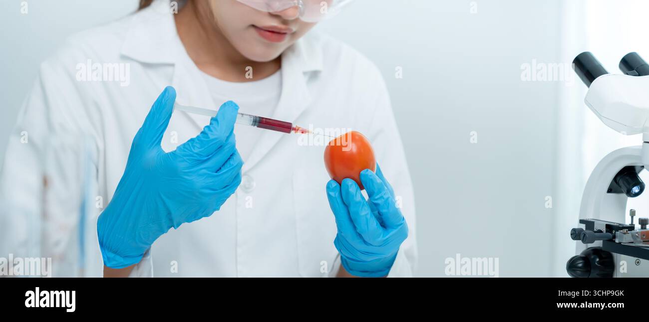 Wissenschaftler überprüfen chemische Lebensmittelrückstände im Labor. Kontrollexperten prüfen die Qualität von Früchten, Wissenschaftler injizieren Chemikalien in Äpfel für Experimente Stockfoto