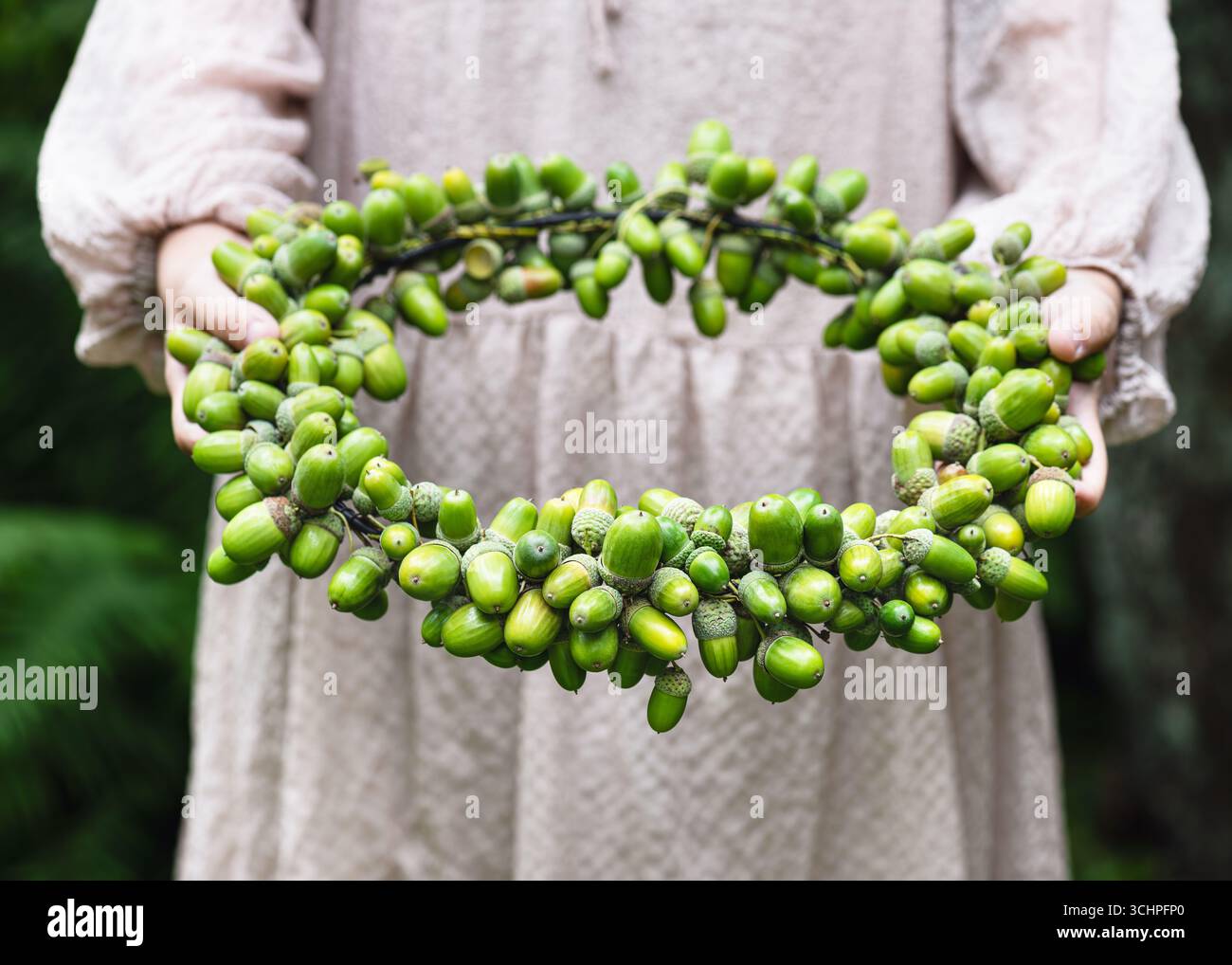 Die Hände für Mädchen halten einen handgefertigten, von der Natur inspirierten Kranz aus frischen grünen Eicheln und fangen die Schönheit des einfachen, rustikalen Designs ein. Stockfoto