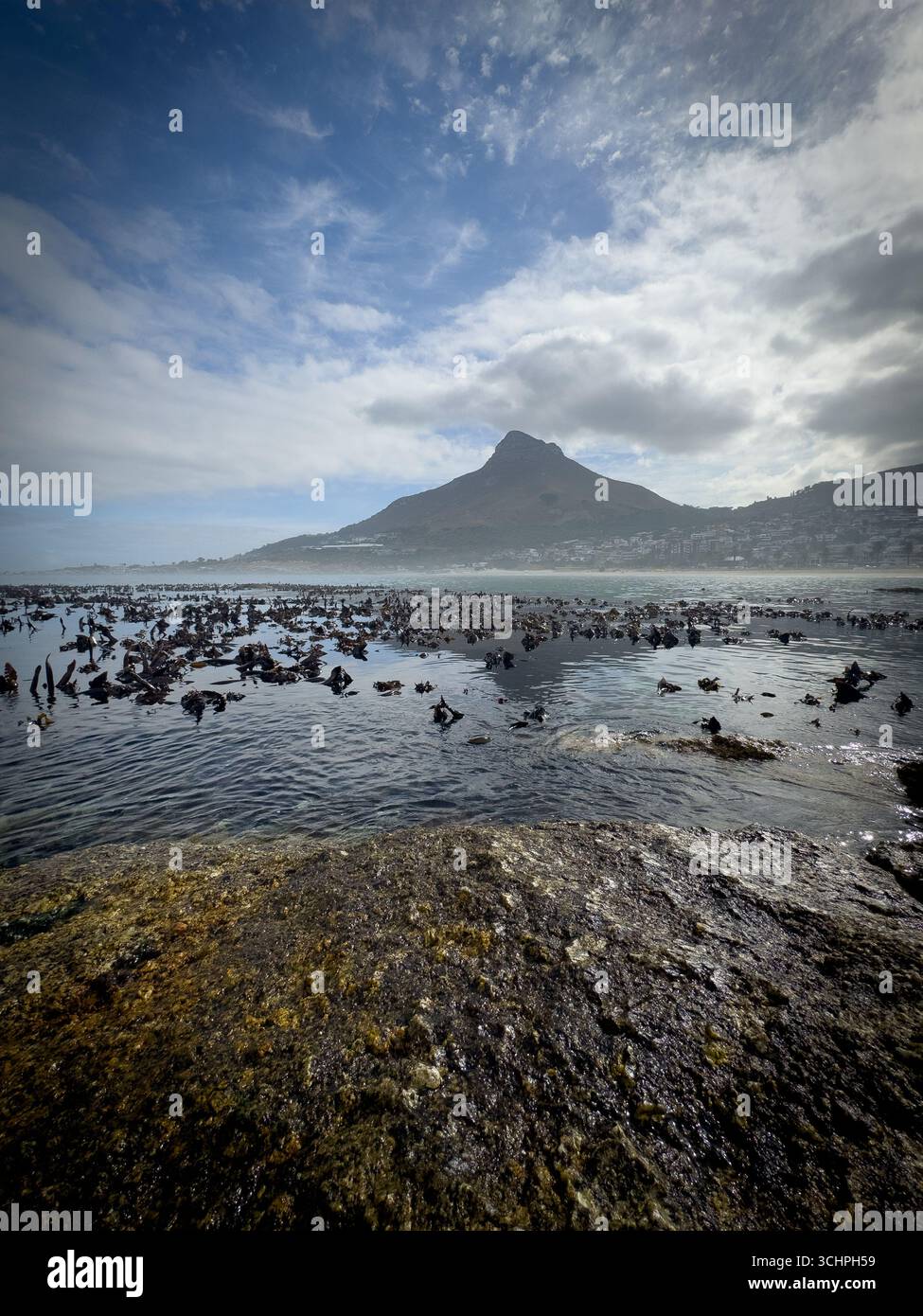Eine Weitwinkelaufnahme eines Strandes in Kapstadt mit dem majestätischen Lion's Head Berg im Hintergrund. Das Foto zeigt den weiten Sandstreifen - Smartphone-aufgenommenes Stockfoto