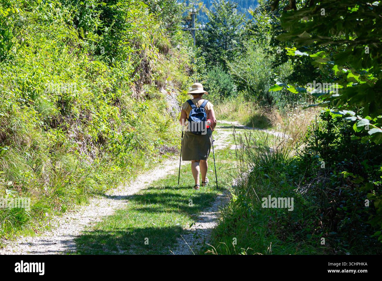 Frau, die an einem hellen Sommertag auf einem Waldweg wandert Stockfoto