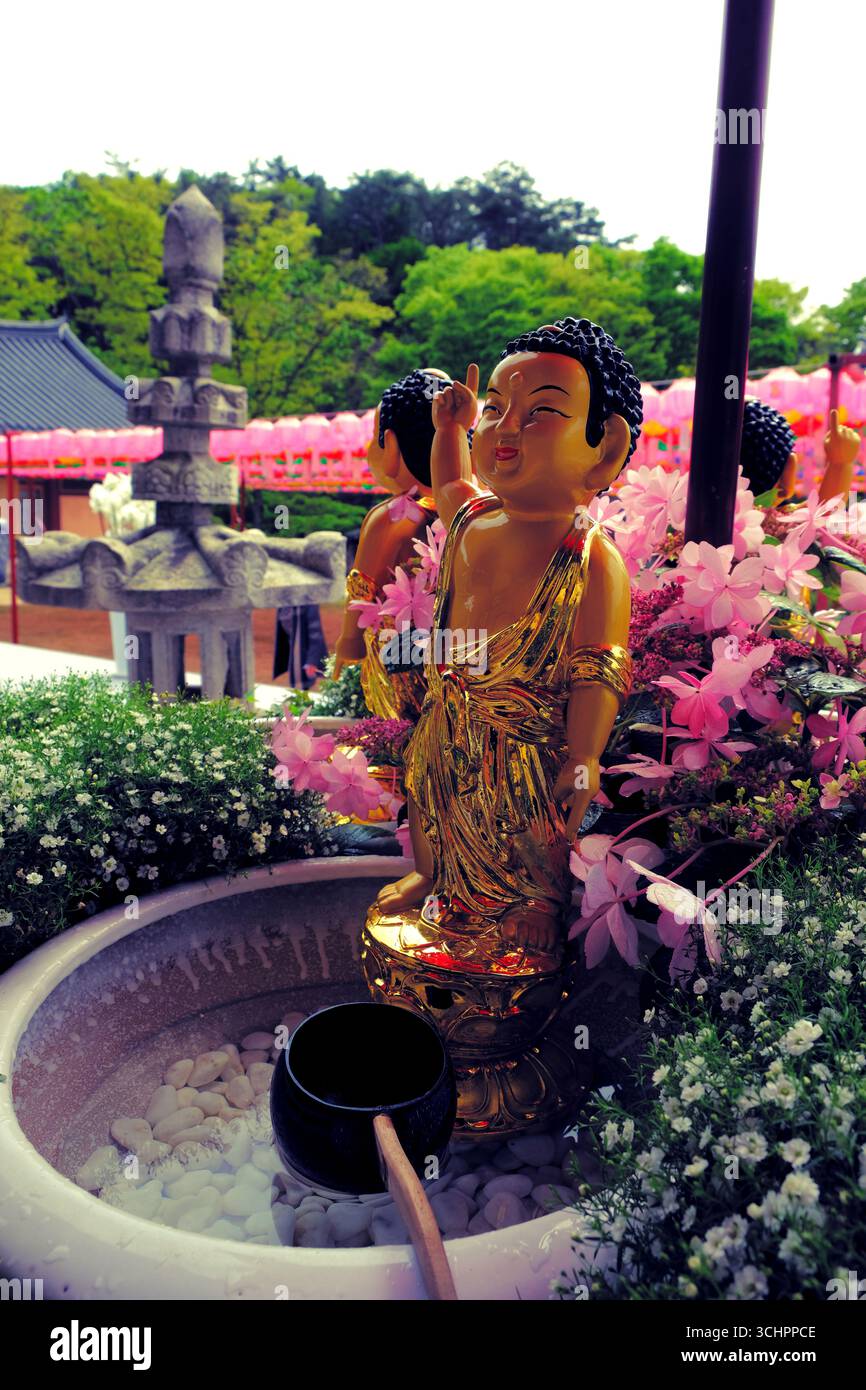 Nahaufnahme eines Kapalas und seiner goldenen Buddha-Statuette, spirituelle und wunderschöne Landschaft, rosa Blumen, koreanischer Tempel Stockfoto
