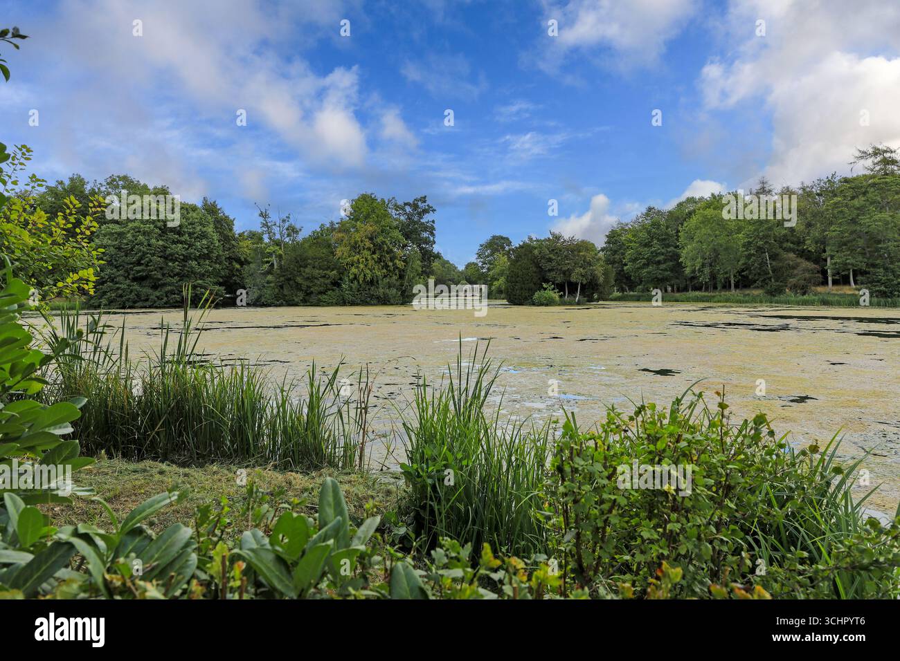 Der Blick über den Octagon Lake in Richtung Palladian Bridge, Stowe House, Stowe Gardens, Stowe, Buckinghamshire, England, Großbritannien Stockfoto