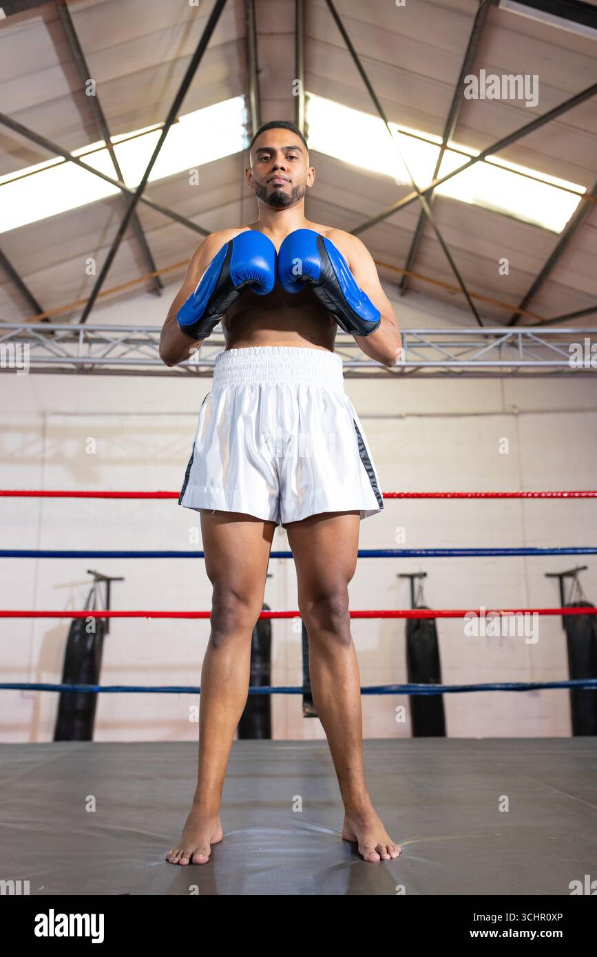 Erwachsener Boxer steht barfuß im Boxring im Fitnessstudio in hellblauen Handschuhen und weißen Shorts Stockfoto