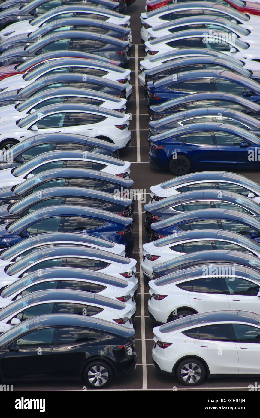 Reihen von Tesla-Autos parkten hinten an hinten, wodurch Symmetrielinien auf dem feststehenden Standplatz in einem Fahrzeughaltebereich entstanden, Juli 2025. Stockfoto Reihen von Tesla-Autos parkten hinten an hinten, wodurch Symmetrielinien auf dem feststehenden Standplatz in einem Fahrzeughaltebereich entstanden, Juli 2025. Stockfoto