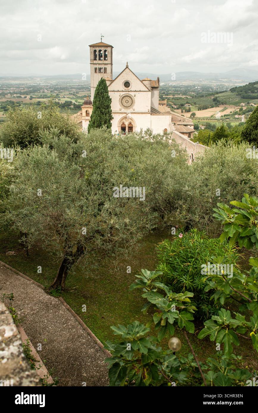 Blick auf die Basilika San Francesco d'Assisi, umgeben von Olivenbäumen, Symbolen des Friedens. Stockfoto