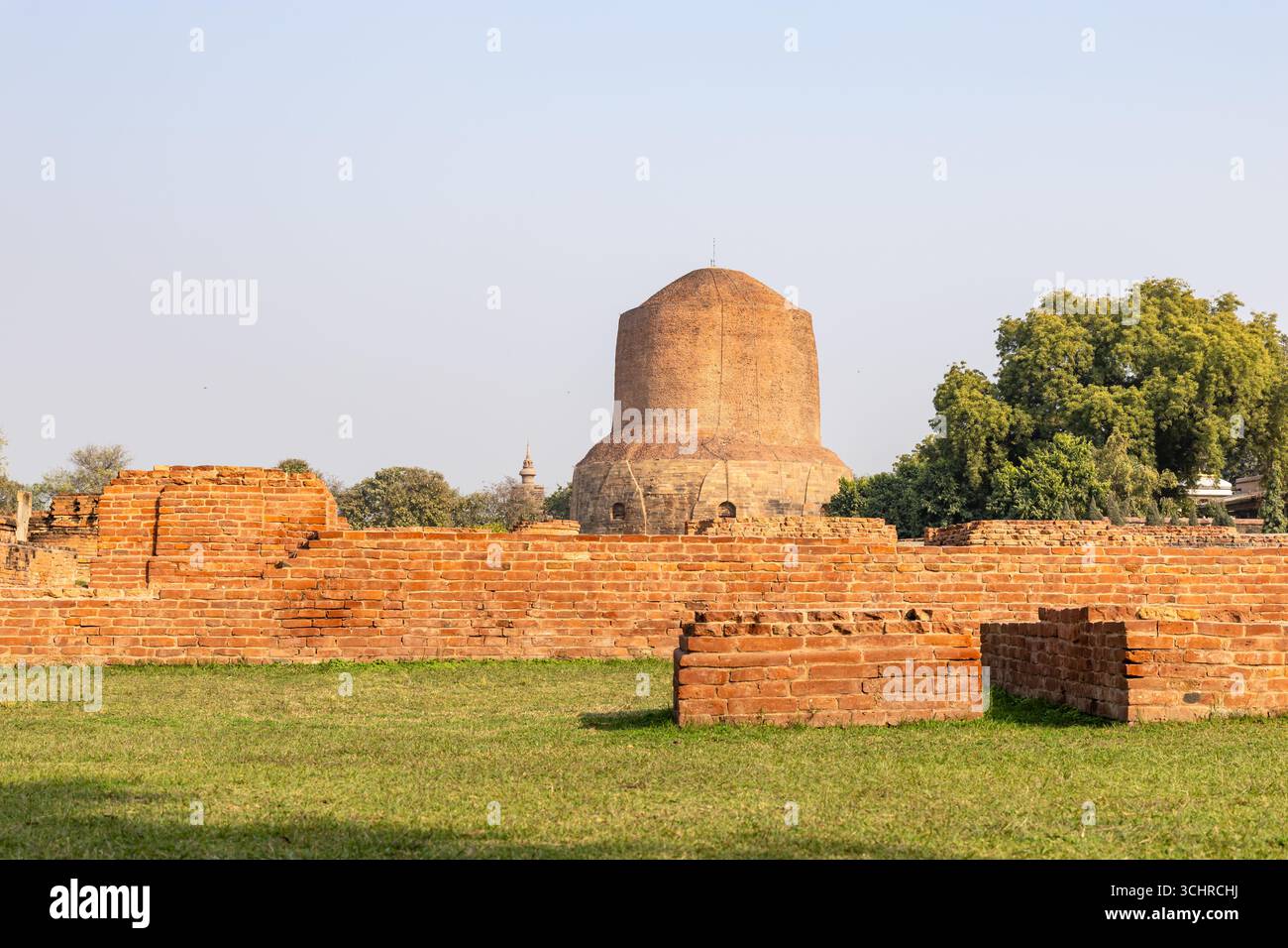 sarnath heilige Dhamek Stupa Ruinen mit hellem Himmel am Morgen in Sarnath bei Varanasi, Indien, markieren die heilige Stätte, an der Buddha sein erstes serm gab Stockfoto