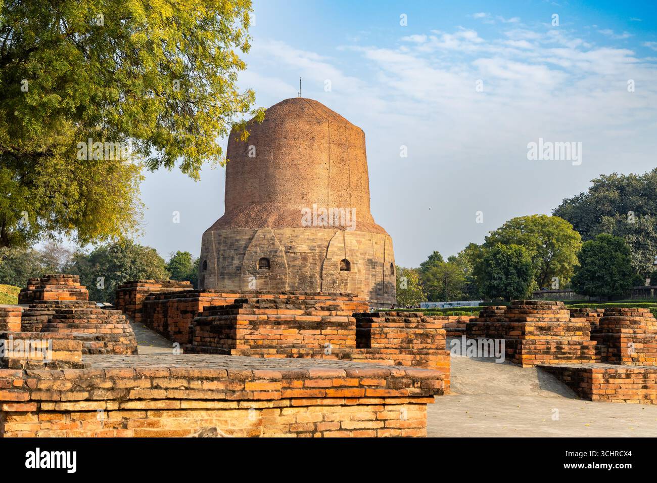 Buddhistische Ruinen mit historischem sarnath Dhamek Stupa buddhistisches Kulturdenkmal am Tag in Sarnath bei Varanasi, Indien, markieren die heilige Stätte, wo Bud Stockfoto
