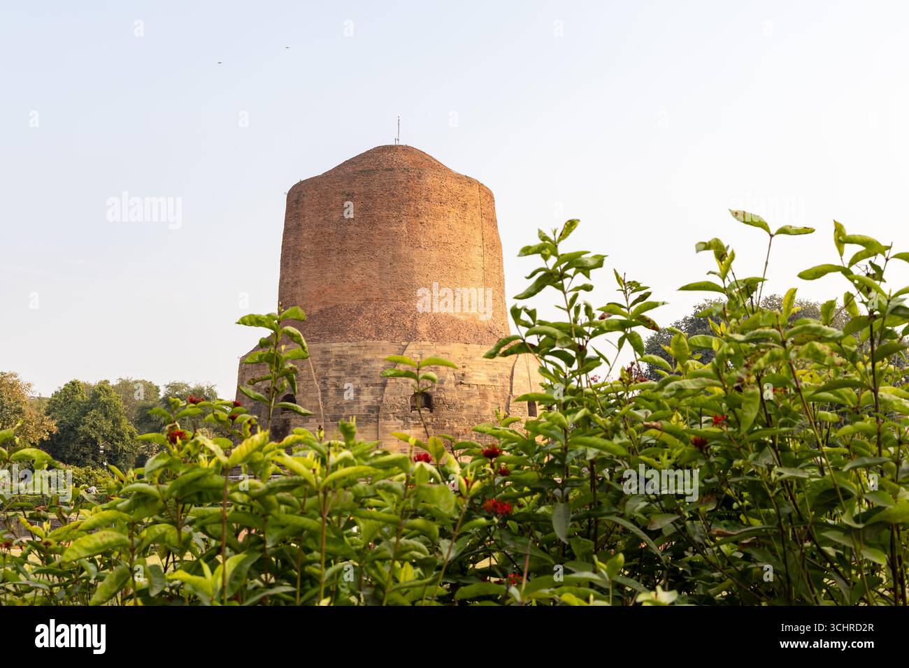 Heiliges buddhistisches Denkmal Dhamek Stupa in sarnath unter hellem Himmel bei Tag in Sarnath bei Varanasi, Indien, markiert die heilige Stätte, an der Buddha hallo gab Stockfoto