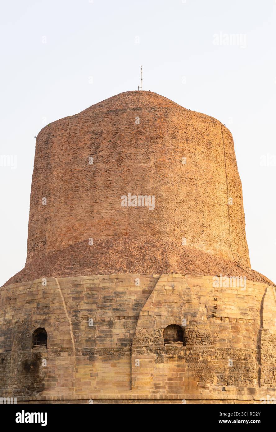 Nahaufnahme der alten Dhamek Stupa Ruinen in sarnath in der Nähe von varanasi indien bei Sonnenlicht in Sarnath in der Nähe von Varanasi, Indien, markiert die heilige Stätte, wo Stockfoto