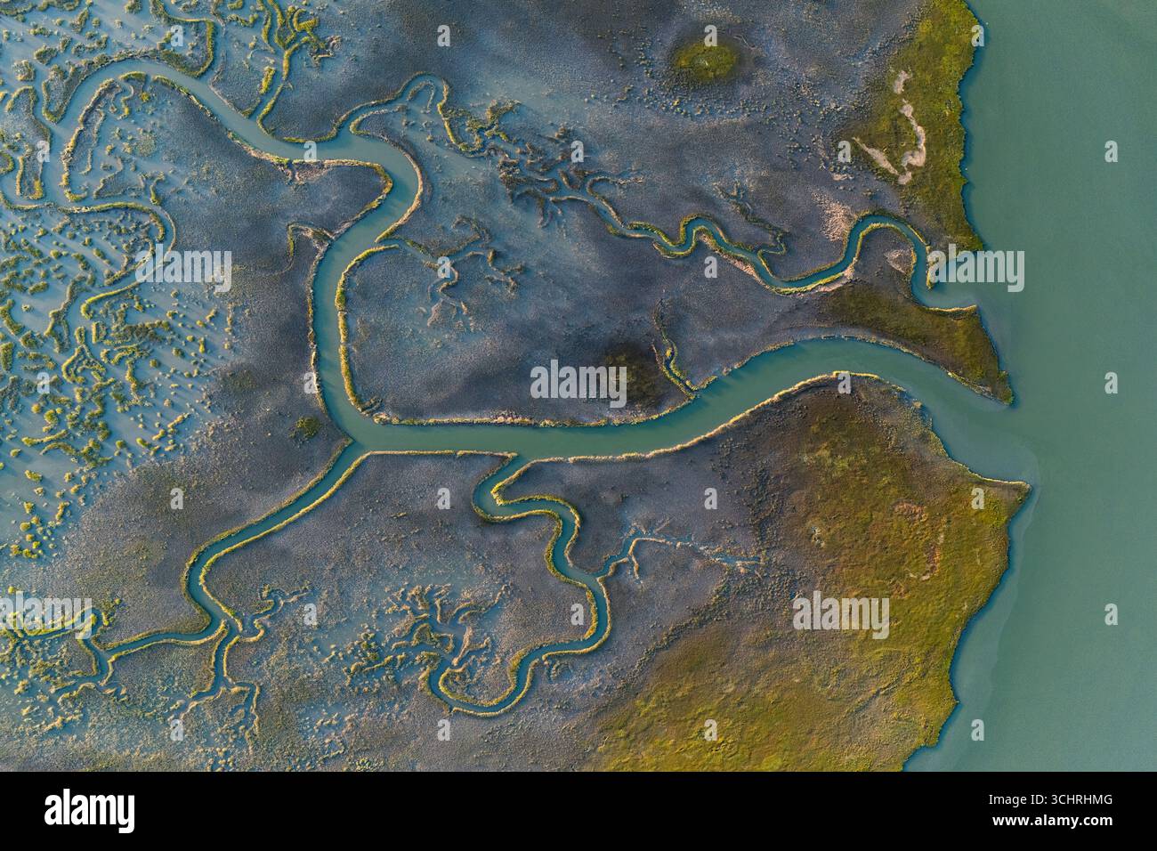 Flüsse, die in Richtung der Bucht fließen – aus der Vogelperspektive – breite Gezeitenflüsse und verzweigte Bäche schlängeln sich durch ausgedehnte Salzwiesen. Stockfoto