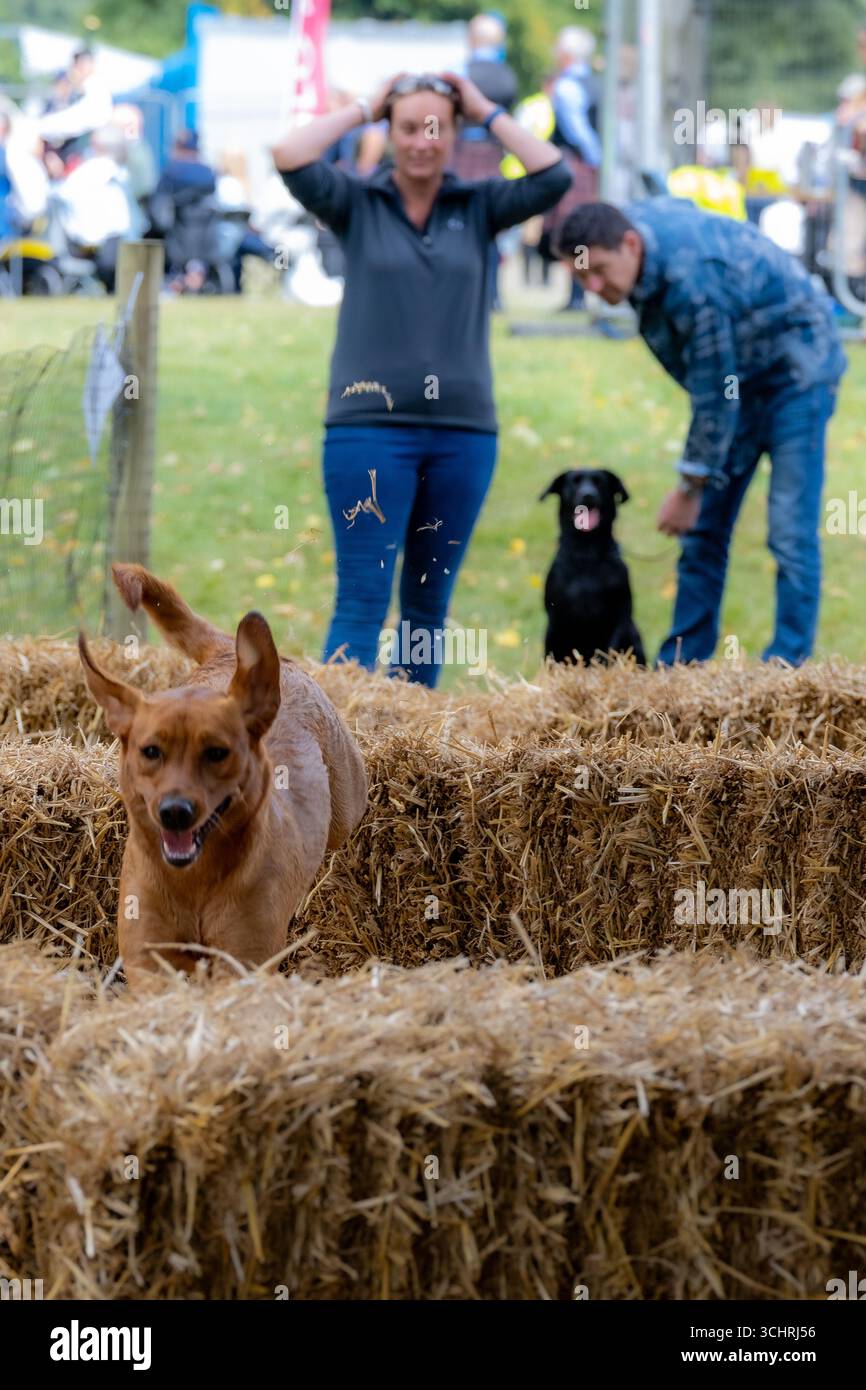Chatsworth Country Fair, Derbyshire, Großbritannien Stockfoto
