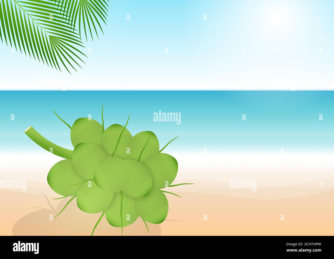 Coconut on Beach. Vektorabbildung. Stock Vektor