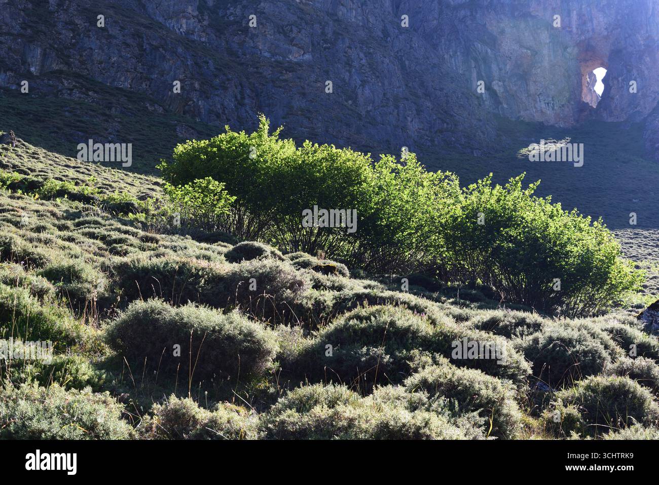 Auf dem Weg vom Valle de Lago zum Pola de Somiedo im Naturpark Somiedo. Ein Schlüsselloch in der Klippe ermöglicht es der Sonne, die Gräser hervorzuheben Stockfoto