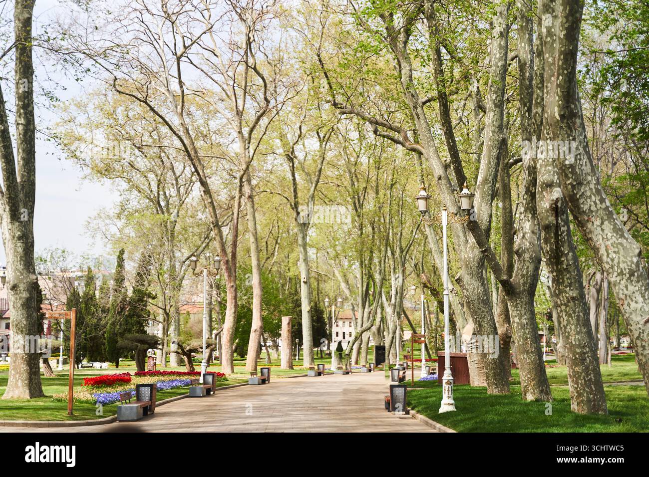 Die Wege des Gulhane Parks in Istanbul im Frühling. Fatih Stockfoto