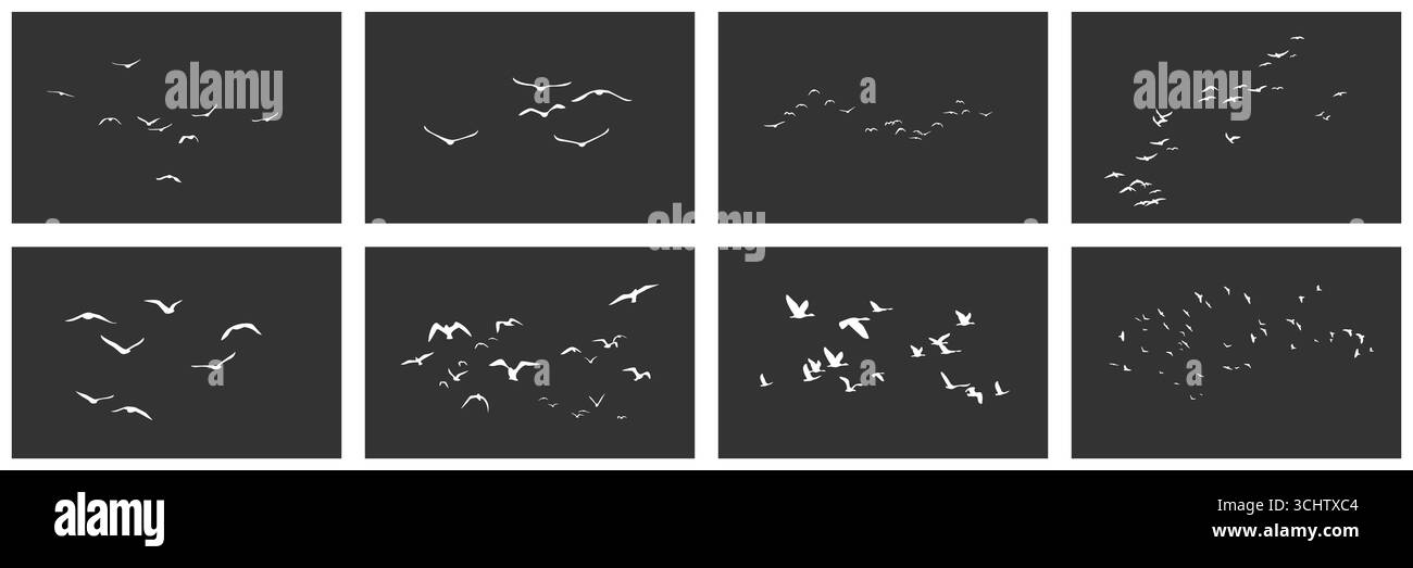 Vögel schwärmen weiße Silhouetten fliegen im Himmel auf schwarzem Hintergrund, Tiere frei Flug Set. Tauben- und Möwengruppe, viele Enten schwärmen fliegende Bewegung, monochrome Mustersammlung Vektor-Illustration Stock Vektor