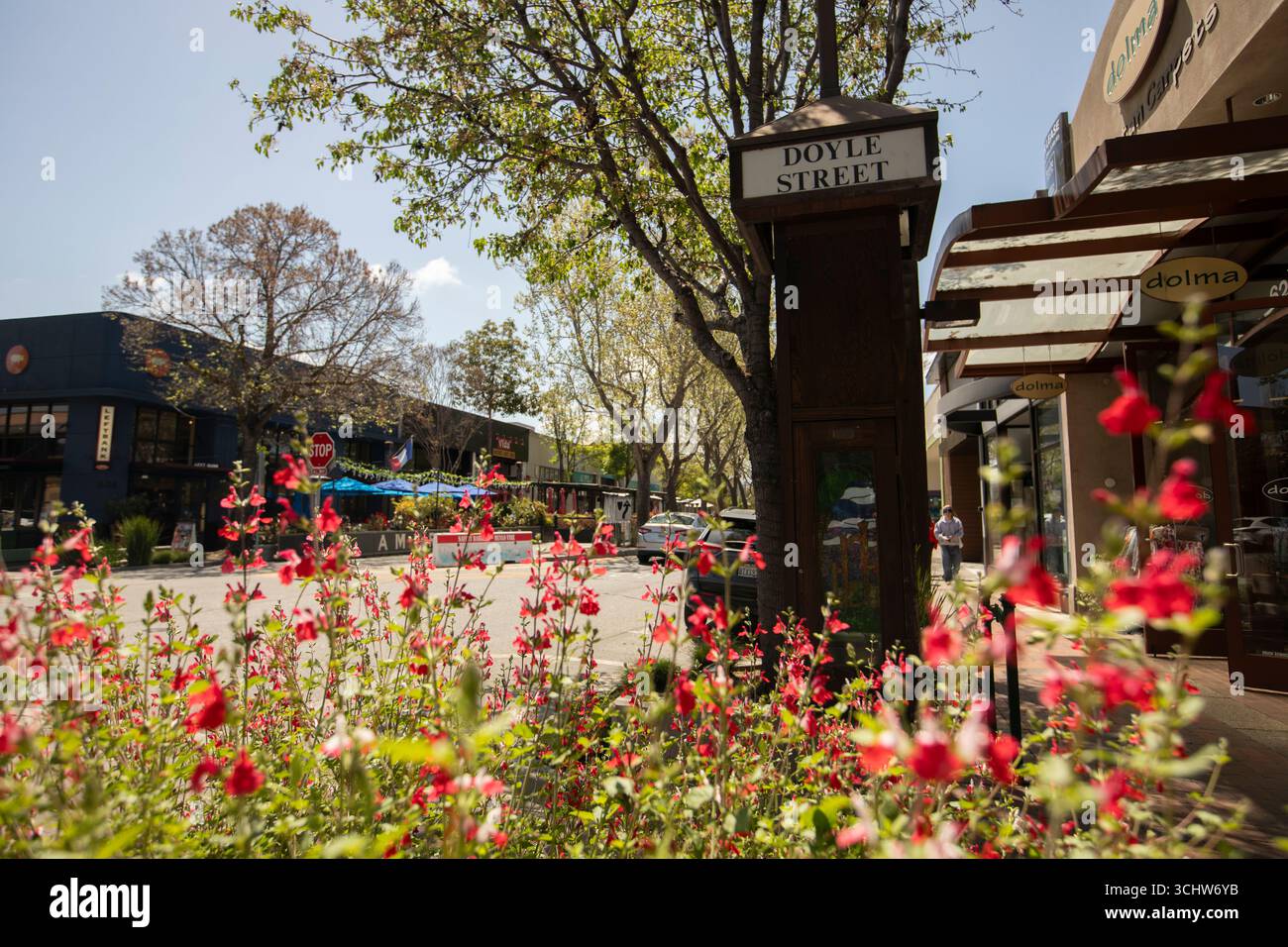 Menlo Park, Kalifornien, USA - 18. April 2025: Blumen blühen im Herzen der historischen Innenstadt. Stockfoto
