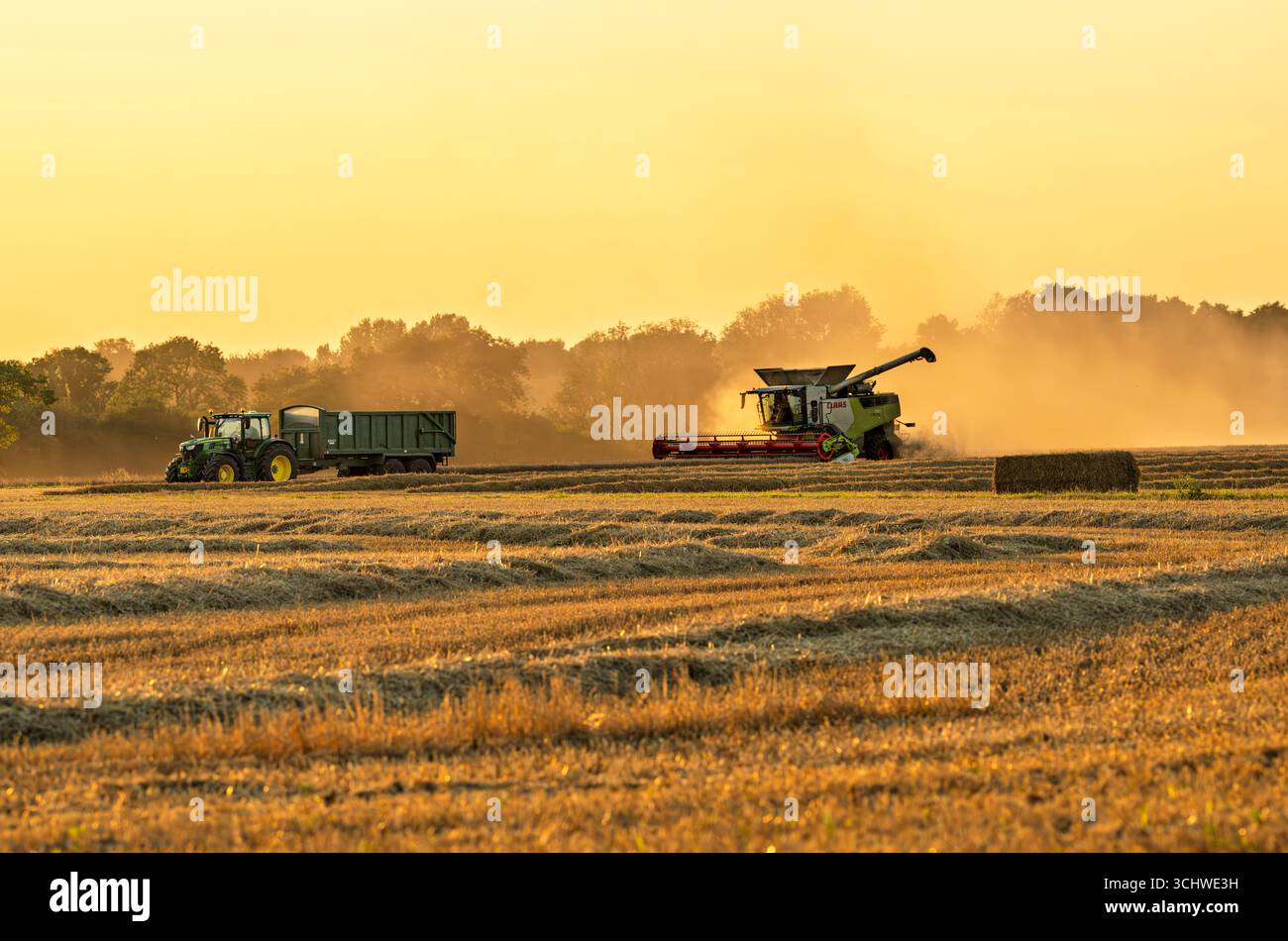 Ein Traktor- und Anhängerstand, der darauf wartet, dass ein Mähdrescher sein geerntetes Getreide abladen kann, North Norfolk Farmland, Großbritannien Stockfoto