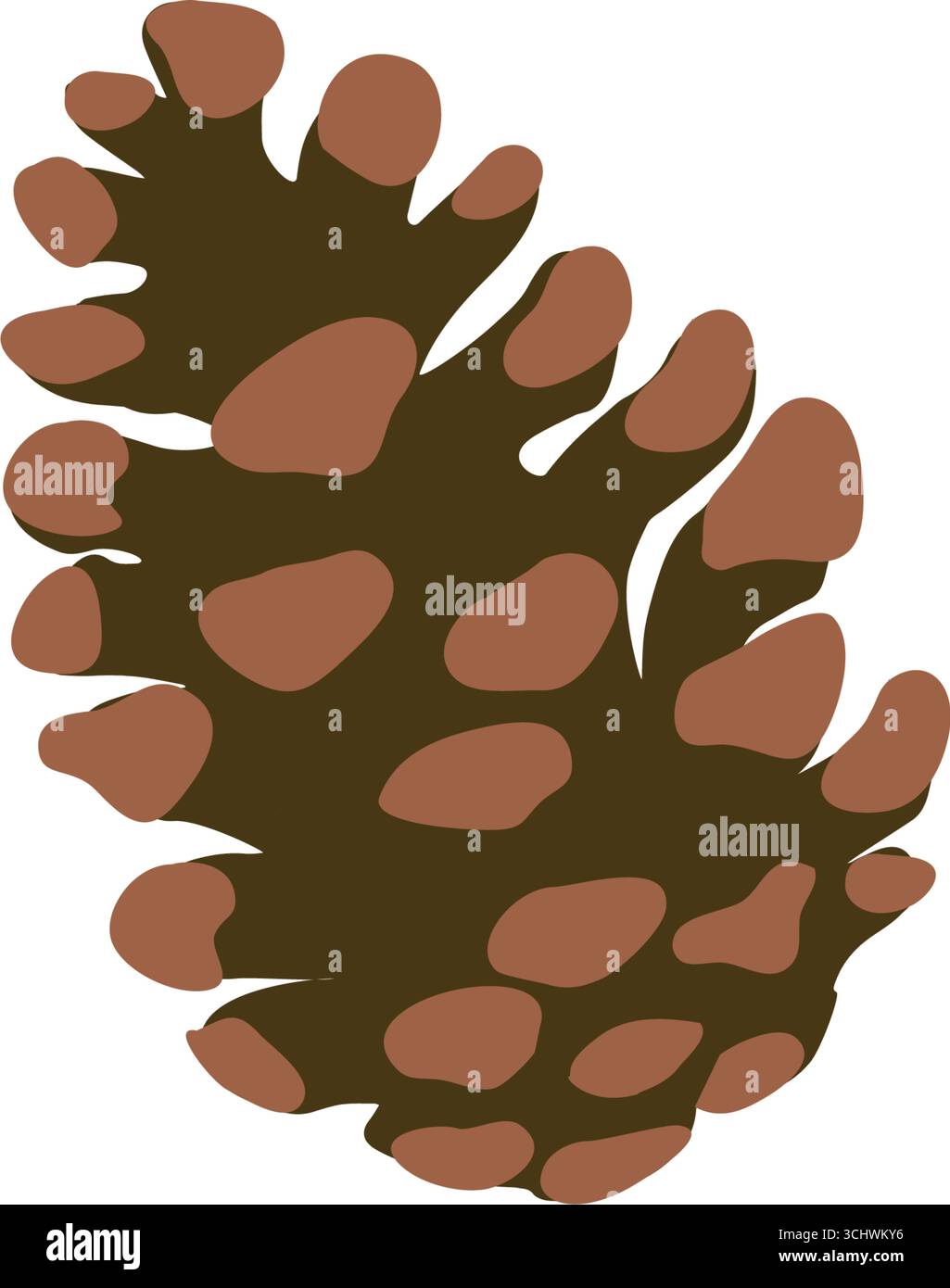 Abbildung eines Tannenzapfens isoliert auf weißem Hintergrund Stock Vektor