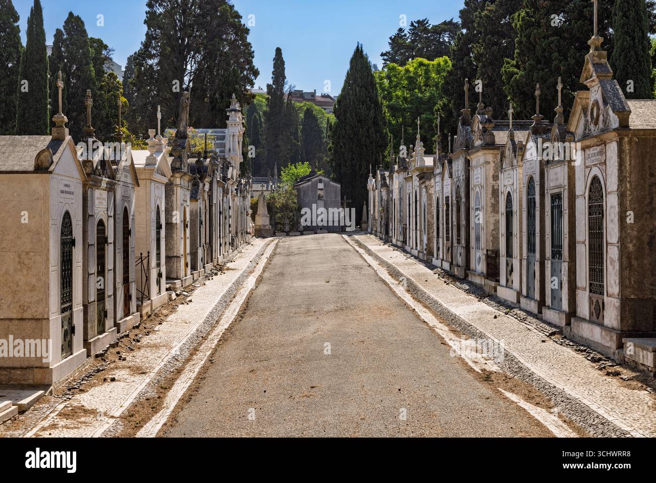 An einem sonnigen Tag befindet sich auf dem Prazeres Friedhof in Lissabon, Portugal, eine Straße mit aufwendigen historischen Mausoleen. Der Weg führt in die Distanz. Lissabon, Portugiesisch Stockfoto