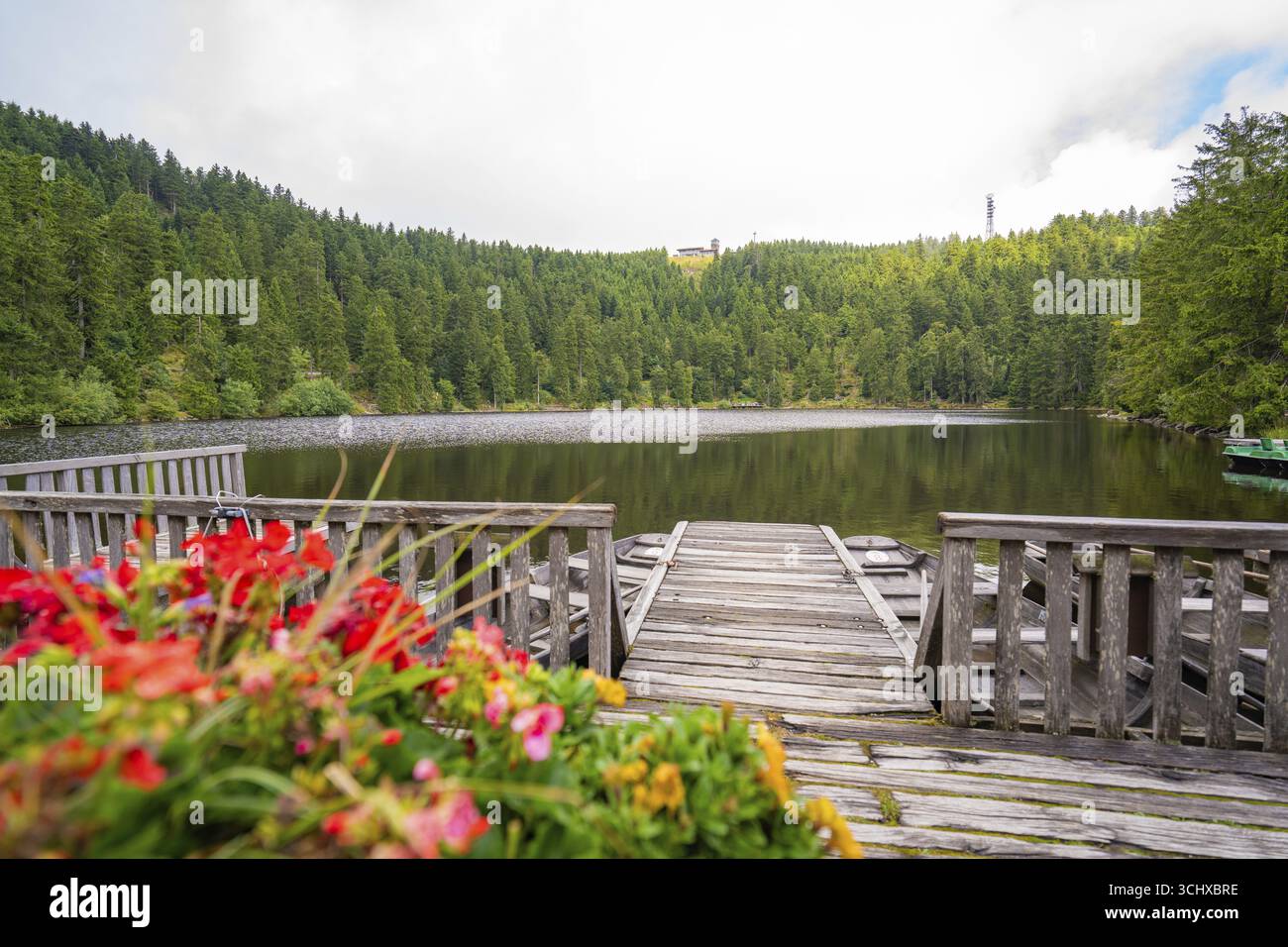 Blühende Blumen auf einer Fußgängerbrücke, die zu einem ruhigen See im Wald führt, Mummelsee, Seebach, Ortenau, Schwarzwald, Deutschland Stockfoto