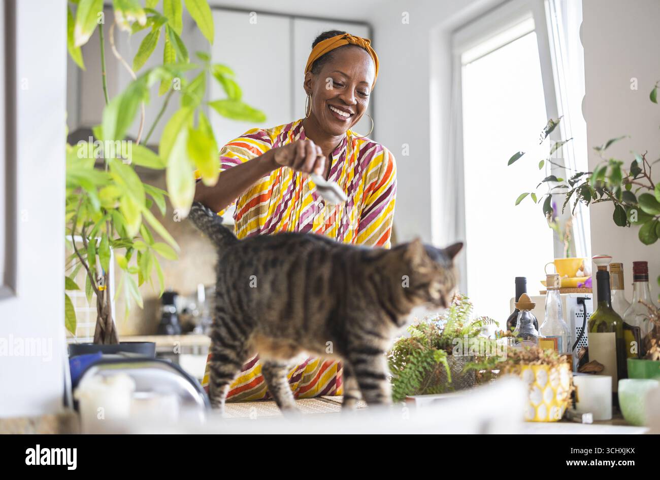 Porträt einer lächelnden Frau mit ihrer Katze zu Hause Stockfoto