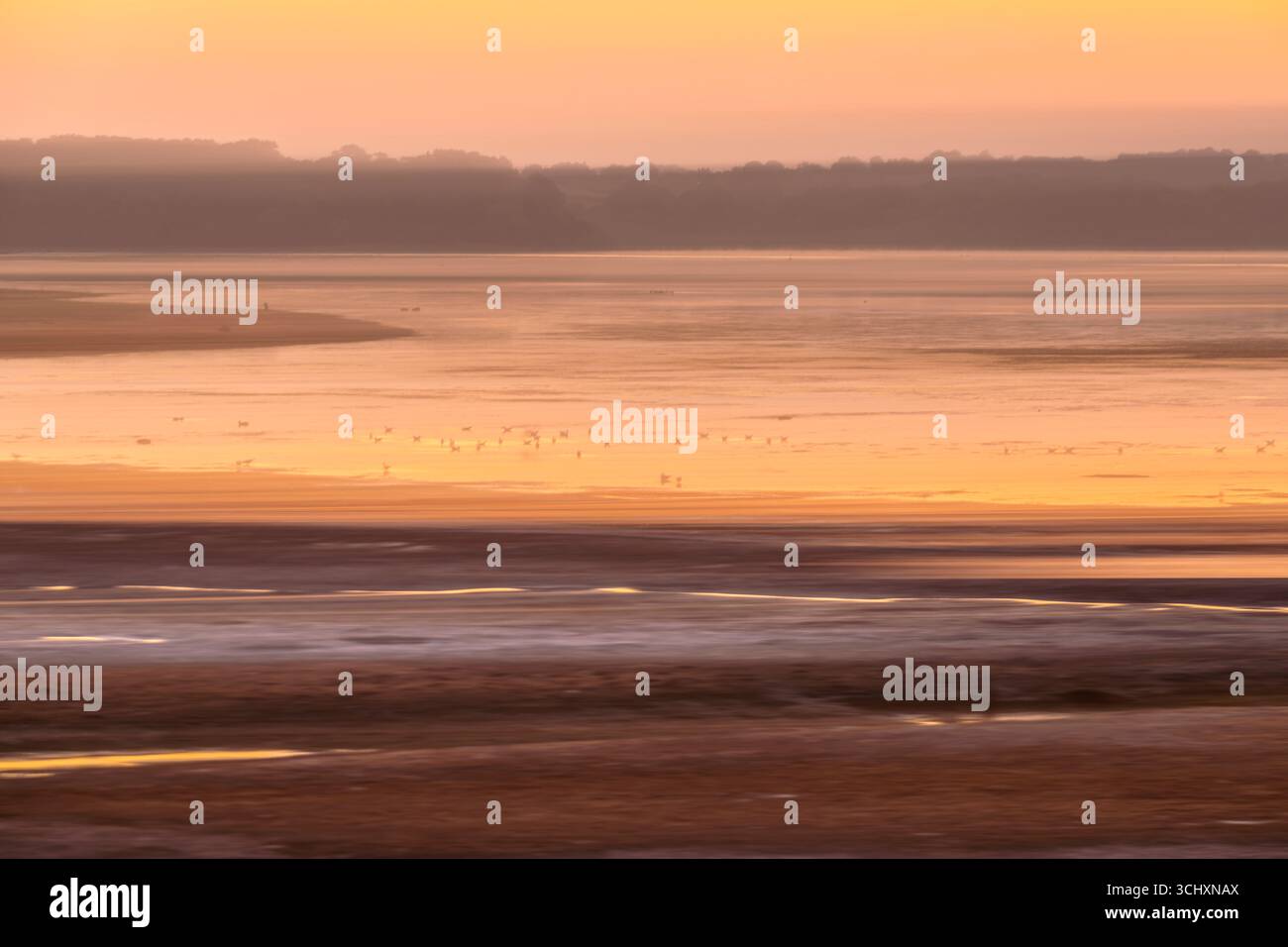 Chew Valley Lake und Vögel auf dem Wasser bei Sonnenaufgang im sehr trockenen Sommer 2025, aufgenommen mit einer subtilen absichtlichen Kamerabewegung Stockfoto
