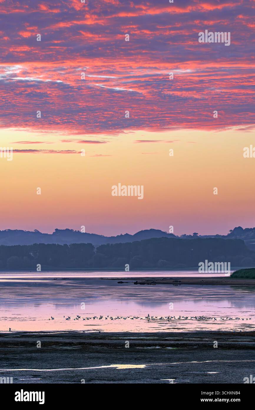 Chew Valley Lake bei Sonnenaufgang August 2025 mit sehr niedrigen Wasserständen mit Möwen und Watvögeln weit draußen im See am Ufer Stockfoto