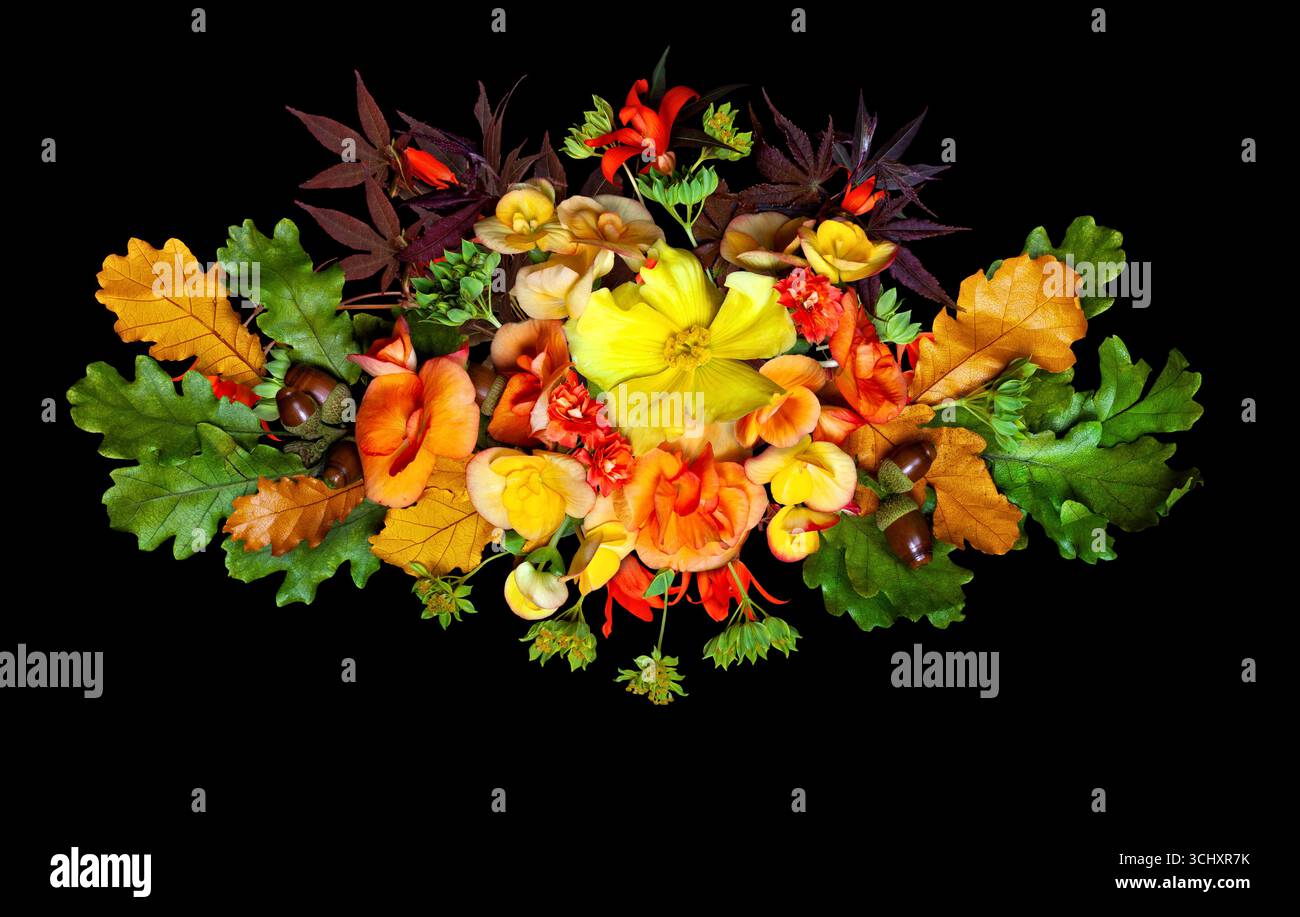 Herbstblumenarrangement auf schwarzem Hintergrund Stockfoto