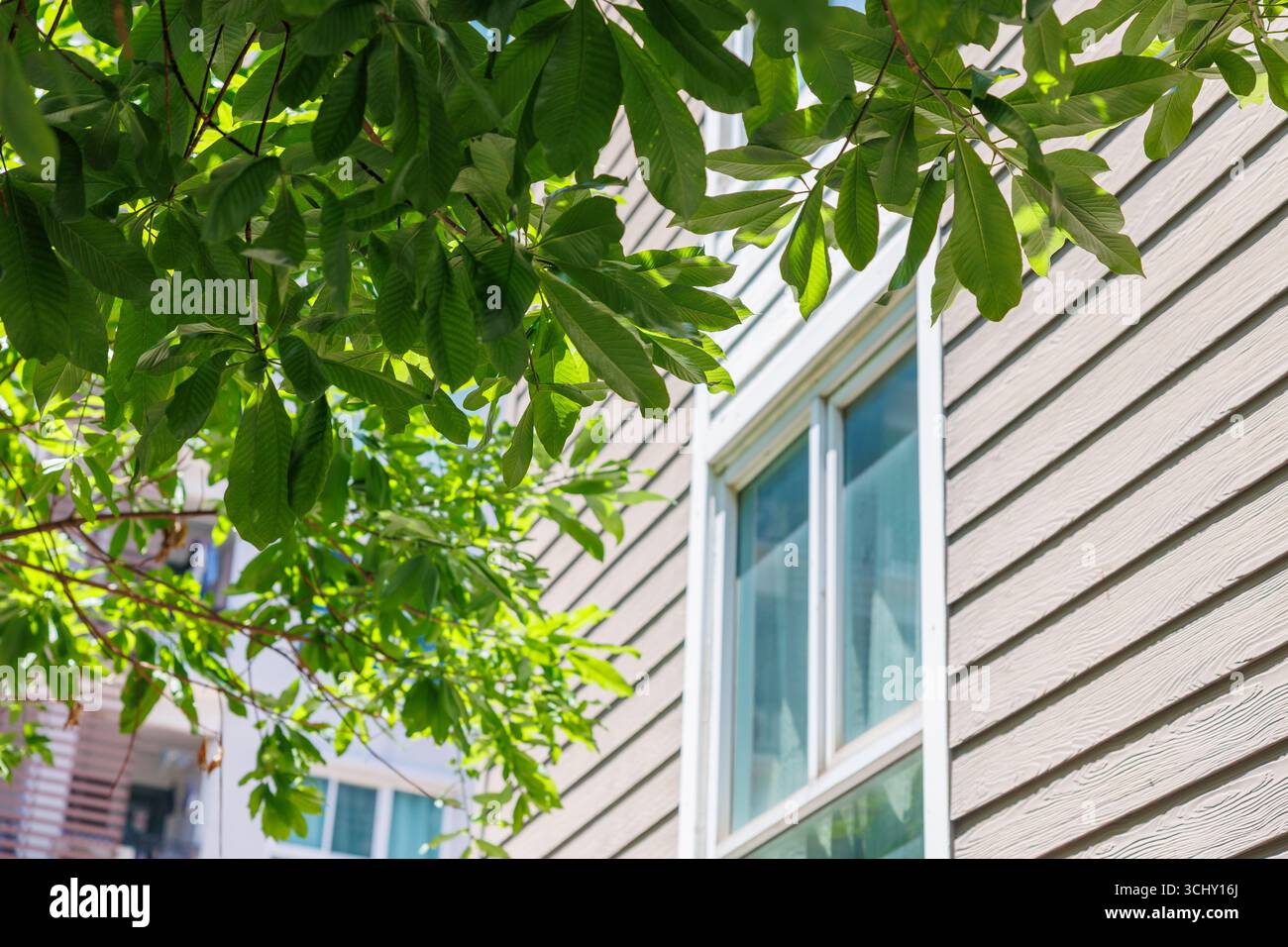 Green Eco City, Green Tree mit moderner Wohnanlage für kühlen Energiesparmodus und frische Luft. Stockfoto