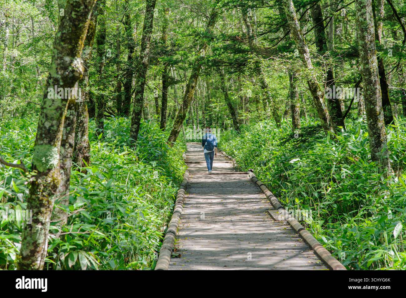 Kamiikochi, Nagano, Japan - 13. Juli 2022 - Ein Wanderweg in Kamikochi in der Präfektur Nagano in Japan Stockfoto
