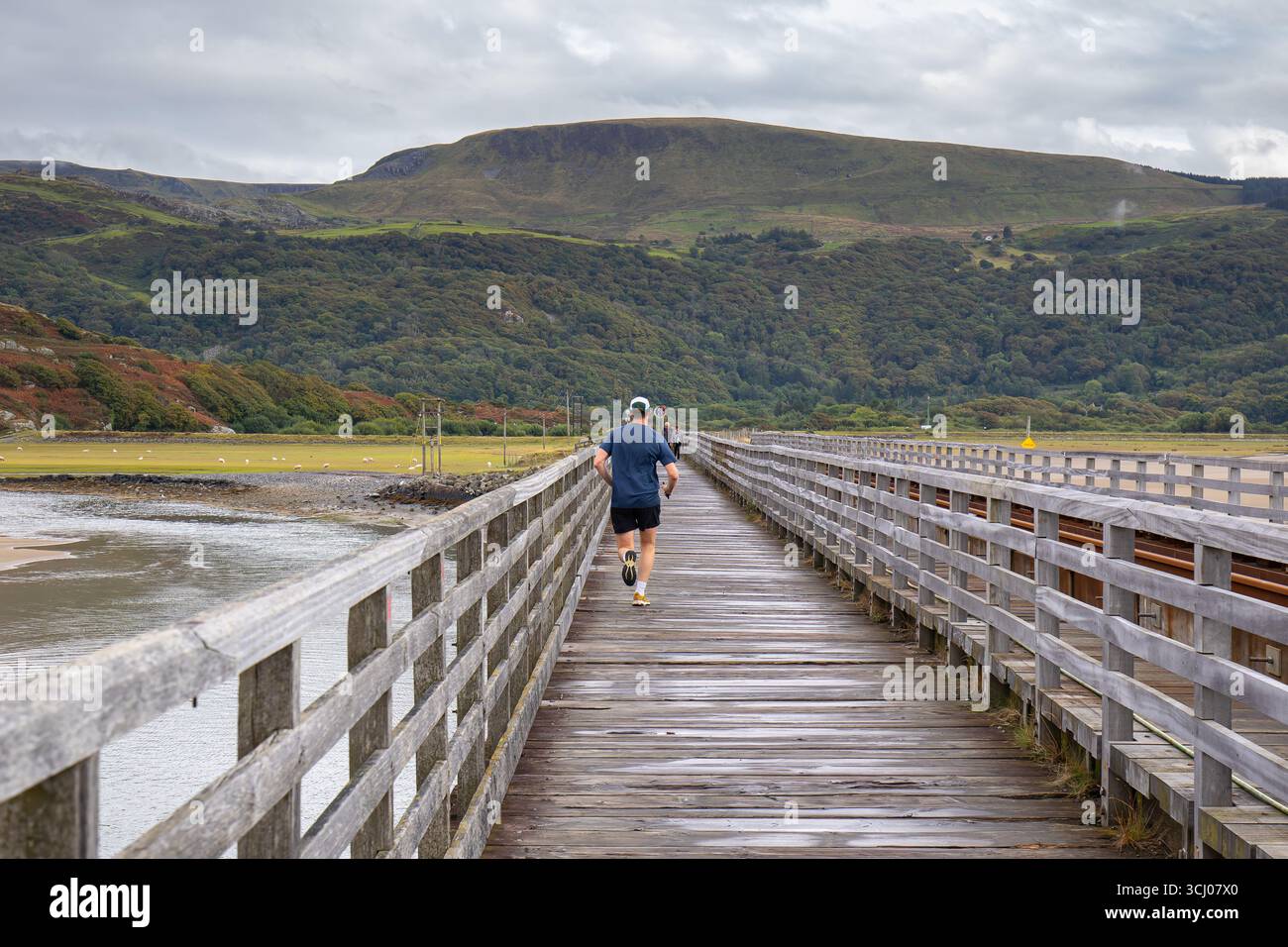 Männlicher Jogger läuft auf der Holzkonstruktion der Barmouth-Viaduktbrücke über den Fluss Mawddach in Wales, UK. Stockfoto
