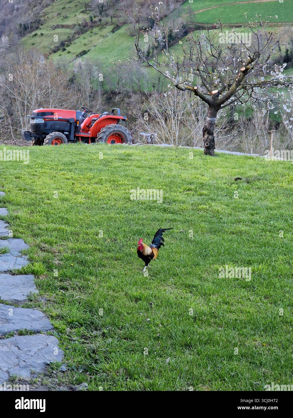 Landschaft rund um das Dorf Trascastro im Leitariegos-Tal in Asturien, Spanien Stockfoto