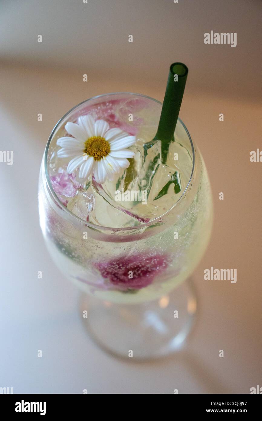 Erfrischender Cocktail oder Mocktail, serviert in einem Glas mit Stielstielen. Das klare, prickelnde Getränk wird mit einem schönen weißen Gänseblümchen garniert Stockfoto