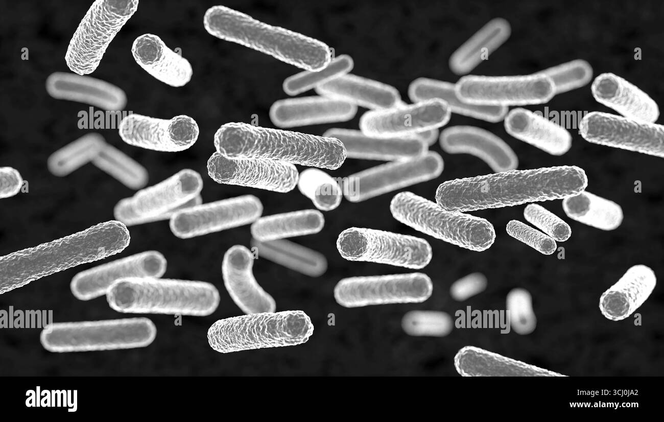 Bakterien unter dem Mikroskop. Bakterien unter dem Mikroskop. Pathogene, bakterielle Infektion, mikroskopische Darstellung, Mikrobiologie, Krankheit, ansteckend. Modell, 3D-Illustration science030s01_Bacterium Stockfoto