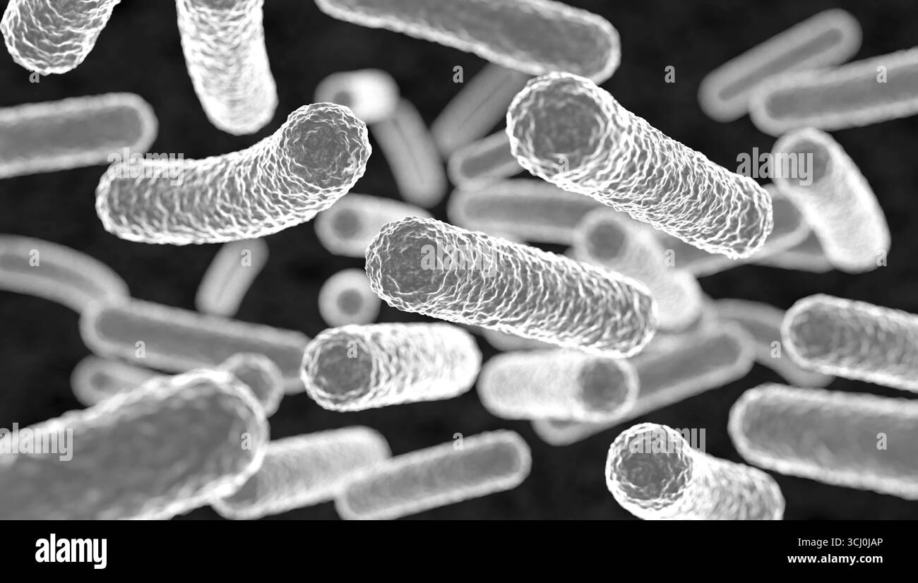 Bakterien unter dem Mikroskop. Bakterien unter dem Mikroskop. Pathogene, bakterielle Infektion, mikroskopische Darstellung, Mikrobiologie, Krankheit, ansteckend. Modell, 3D-Illustration science030s02_Bacterium Stockfoto