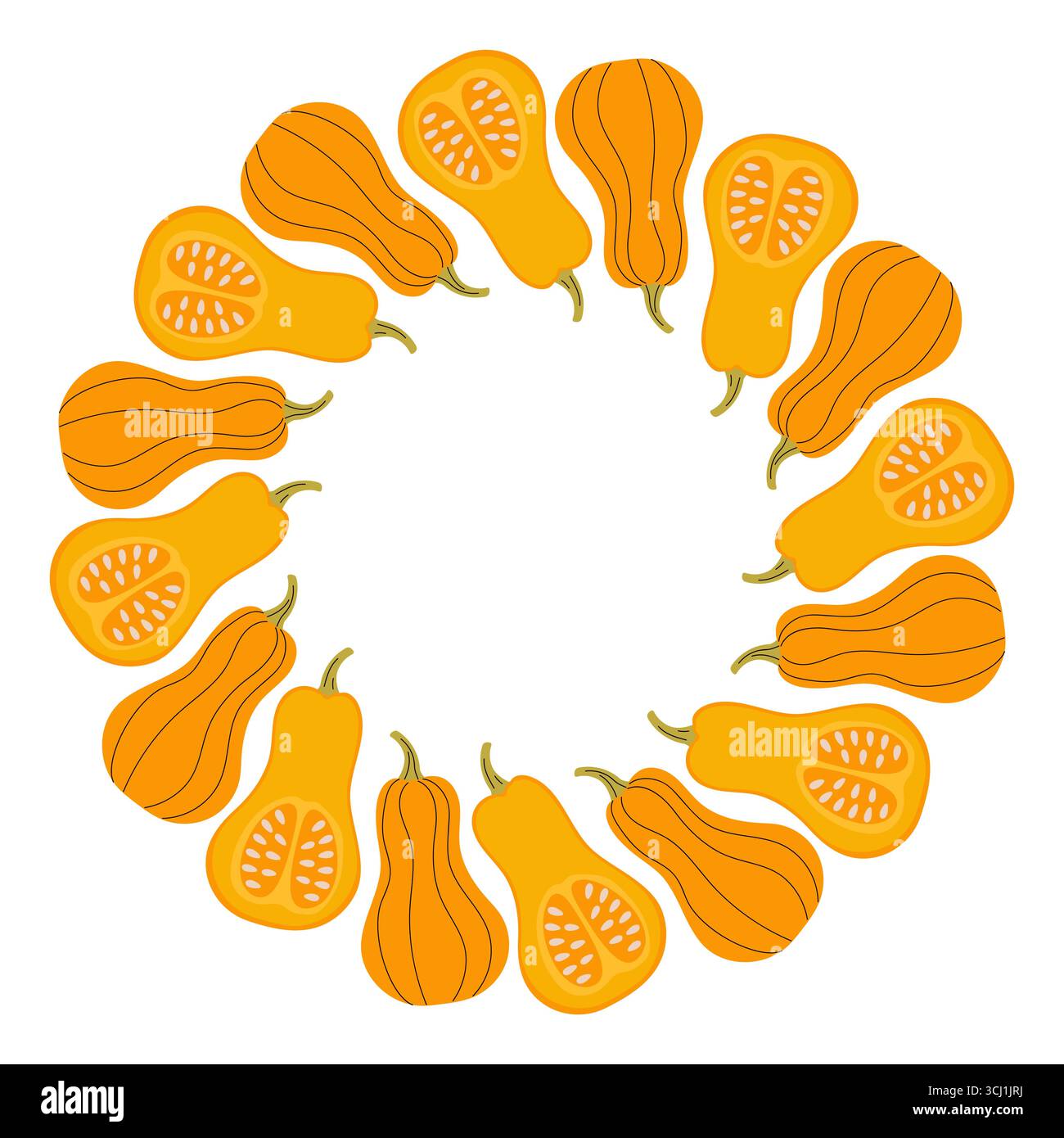 Ein lebendiges, kreisförmiges Layout zeigt verschiedene Butternusskürbis, die ihre unterschiedlichen Formen und Texturen zeigen. Die leuchtend gelbe Farbe sorgt für einen festlichen Tu Stock Vektor