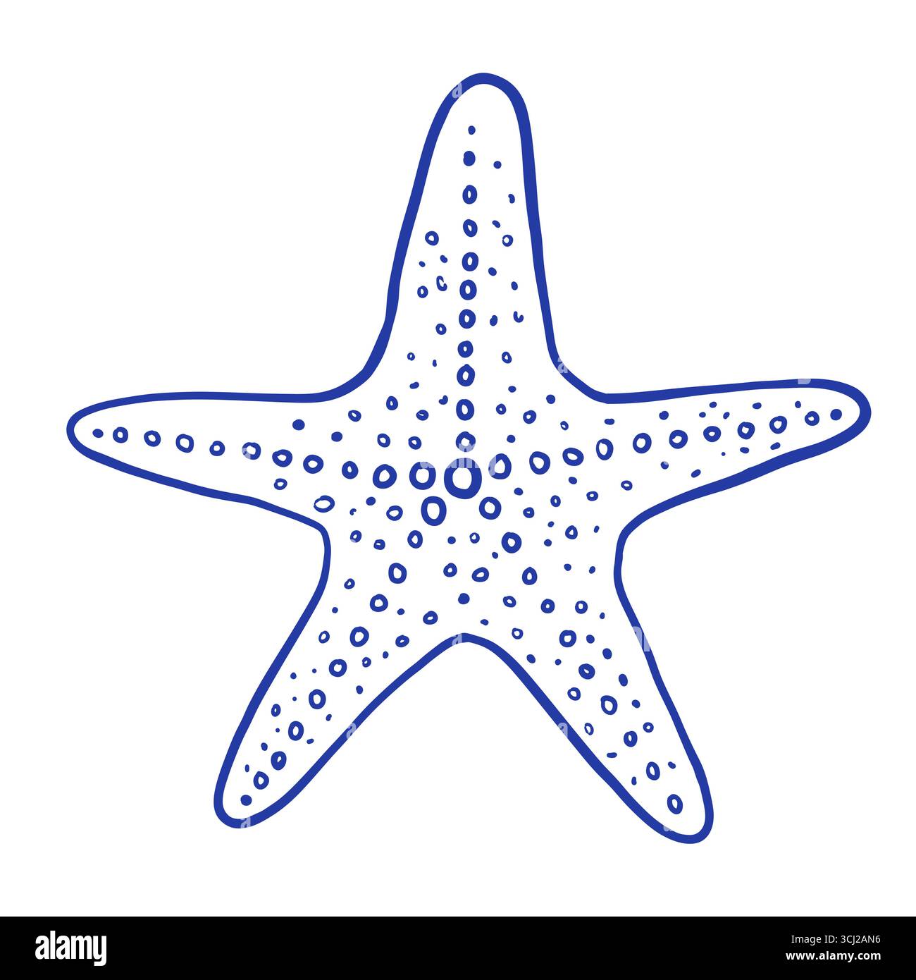Handgezeichnete Seesterne-Vektor-Illustration. Unterwassersegel im Doodle-Stil Stock Vektor