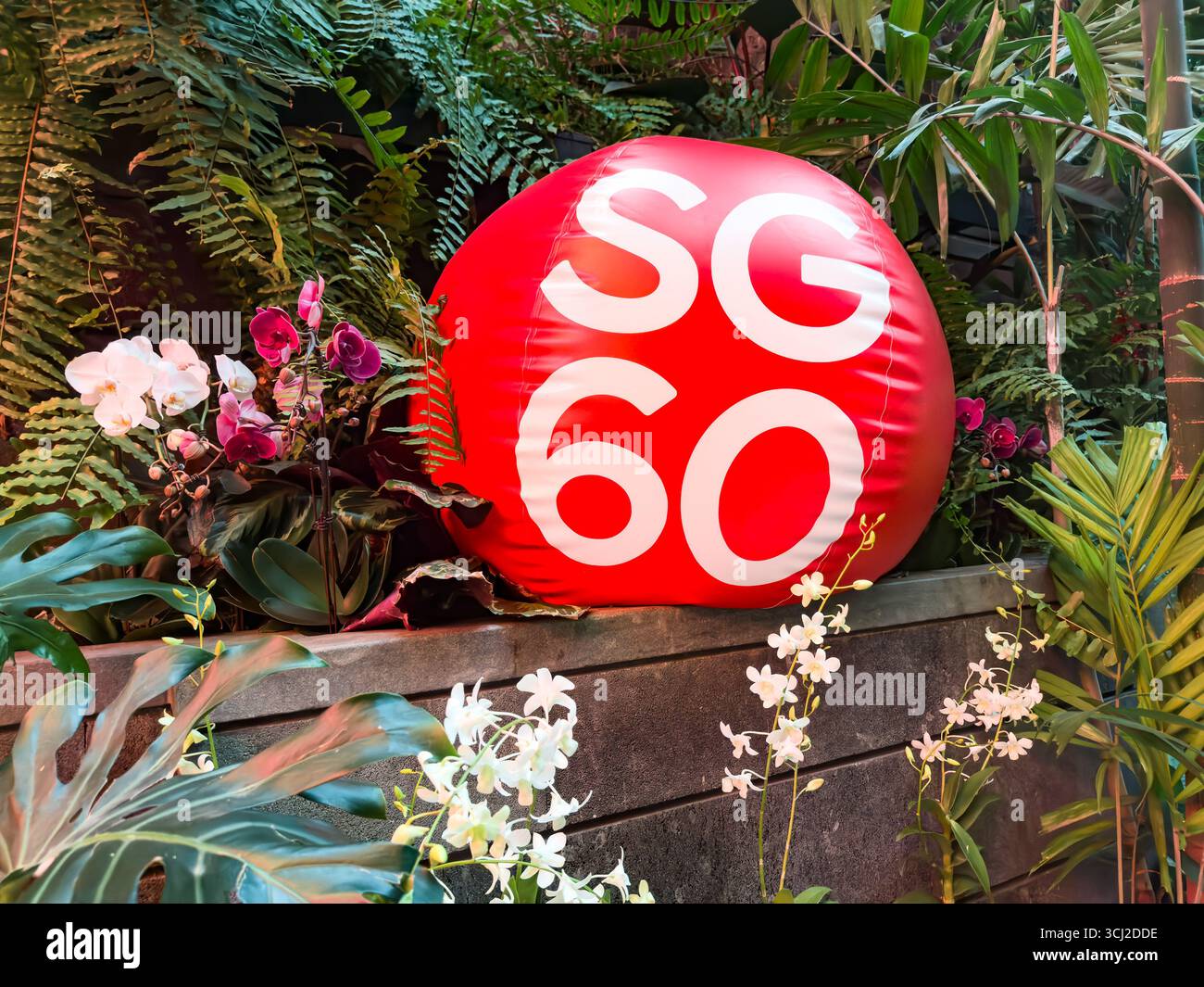 Roter SG60-Ballon umgeben von üppig grünem Laub und lebendigen Orchideen in einem Garten, der den Flughafen Singapur Changi 60 Jahre Unabhängigkeit bietet - Smartphone-aufgenommenes Stockfoto