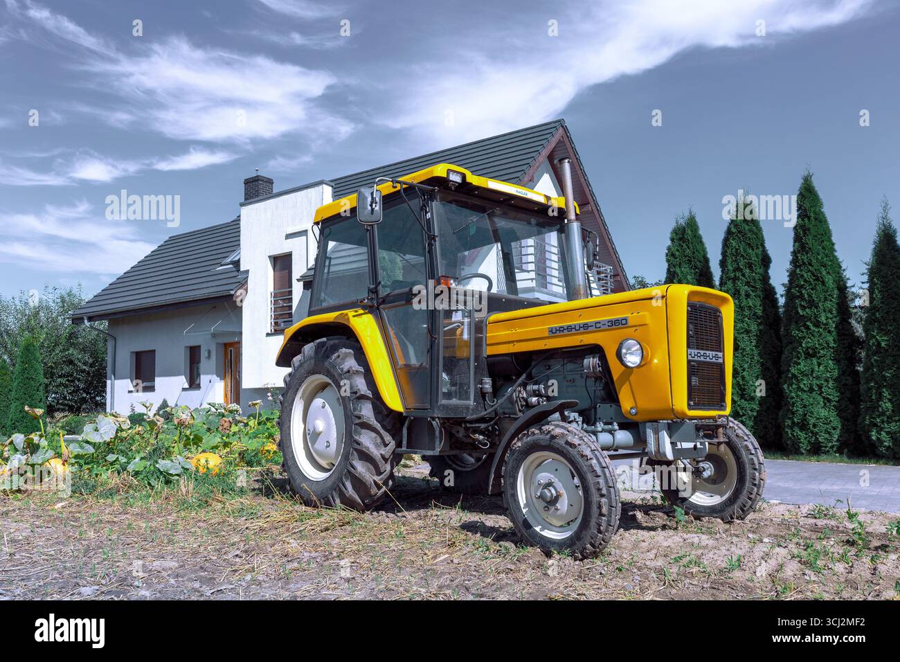 Ursus C-360, ein polnischer Oldtimer-Traktor, der von 1976 bis 1994 hergestellt wurde. Stockfoto