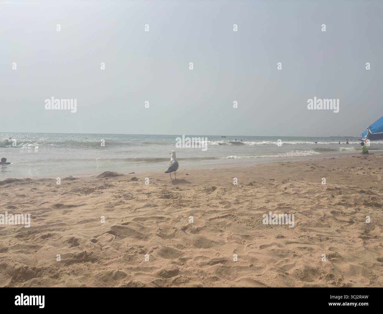 Spanien: Goldene Sandstrände rund um Cádiz an der Costa de la Luz, mit türkisfarbenem Atlantikwasser, historischen Festungen und palmengesäumten Ufern Stockfoto